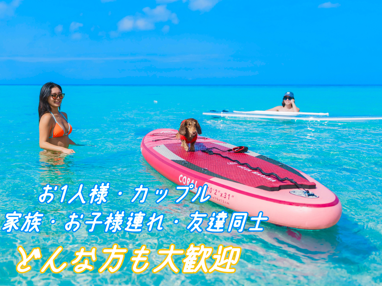 ���X�̊Ŕ���GON�����ł������D���̕��͐��񌾂��Ă�������(^^)�l���������̂ŉ������Ă����Ă��������܂��I