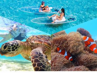 ウミガメと一緒に泳いで、クリアサップでドローン撮影も!