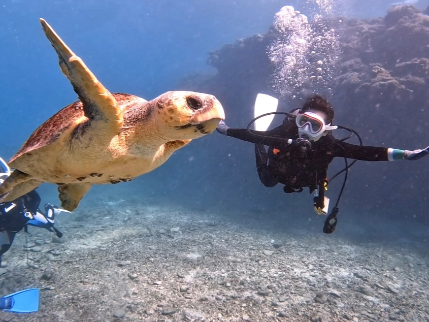 cǊԂƂ΃E~KIAIE~KA^C}CAAJE~Kɂ邩IH