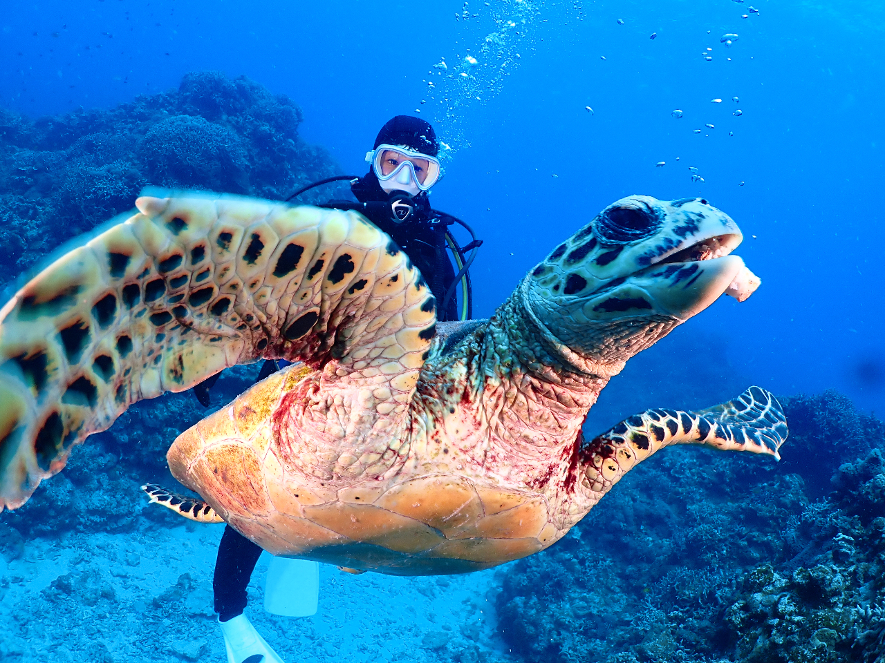 cǊԂ̃E~K͂Ȃɋ߂ɊĂĂ܂I