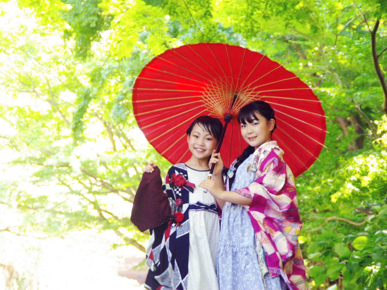 qlgȗ߂ŎUOKIƑSėߎU悵A䂪q߃R[f̂ǂłI