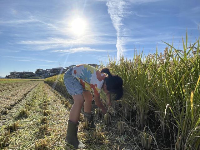 ∞和ールド環イド∞JAPAN®