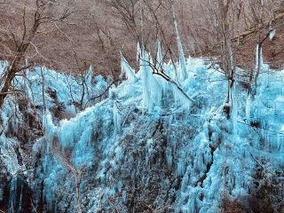 尾ノ内氷柱ライトアップでは約50分の滞在時間!!
