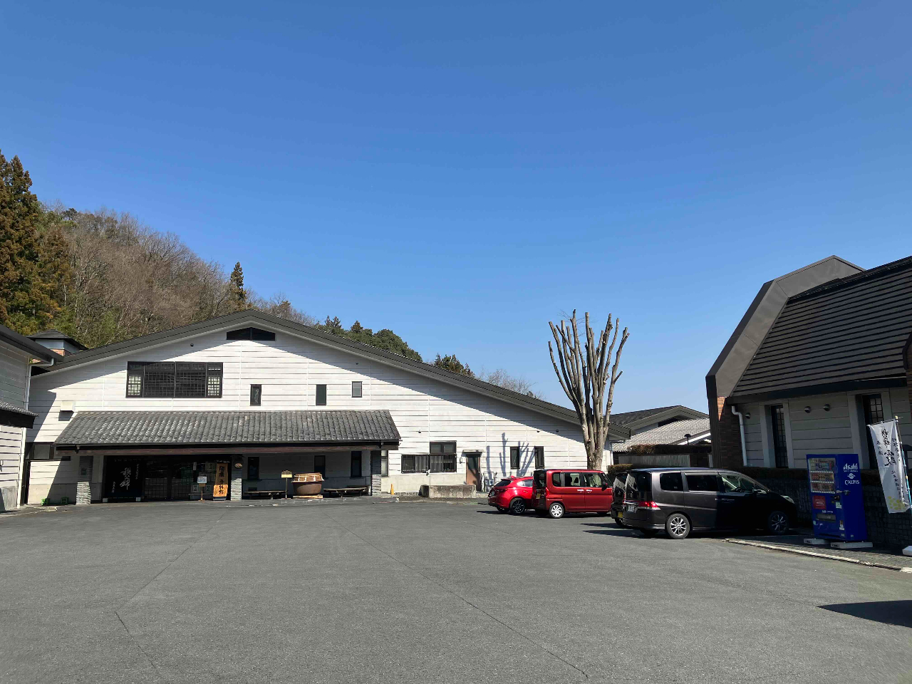 Â̐X͎𑢔ق̌wA{̎Ƃy݂܂