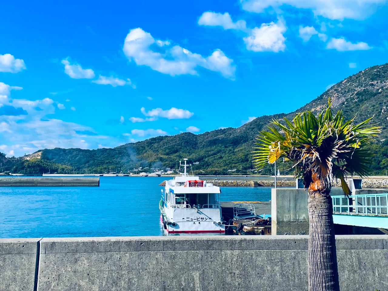 江の浦港から徒歩5分☆