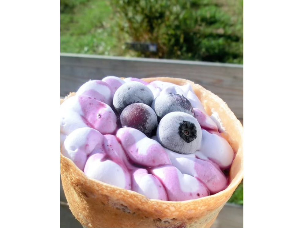 ブルーベリー農園見学&当園こだわりのクレープセットプラン♪お一人からカップル、フ...