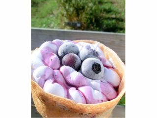 《ブルとベリーの森カフェ》優しいブルーベリー色のホイップクリームで仕上げました♪数藤農園こだわりのブルーベリーをご賞味ください!