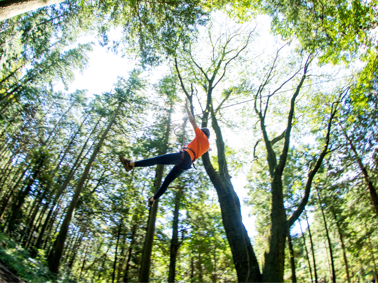 専用のハーネスを着用するので、手を離して滑っても大丈夫☆