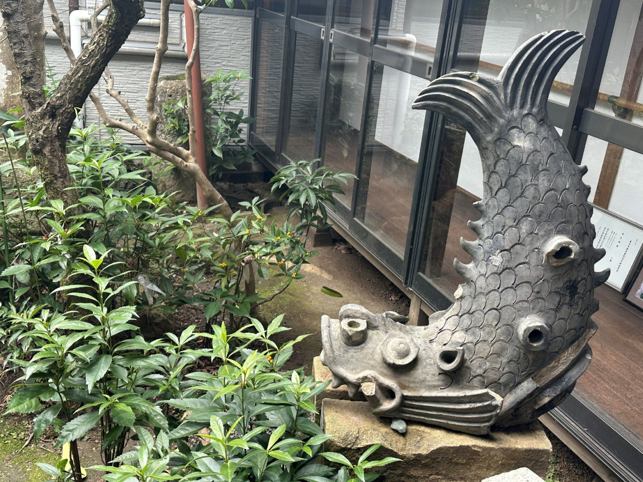 ]ˎɍꂽƎvV`zŘwBĎqɂV`zȐꏊɂ邢Ȃǂb܂B