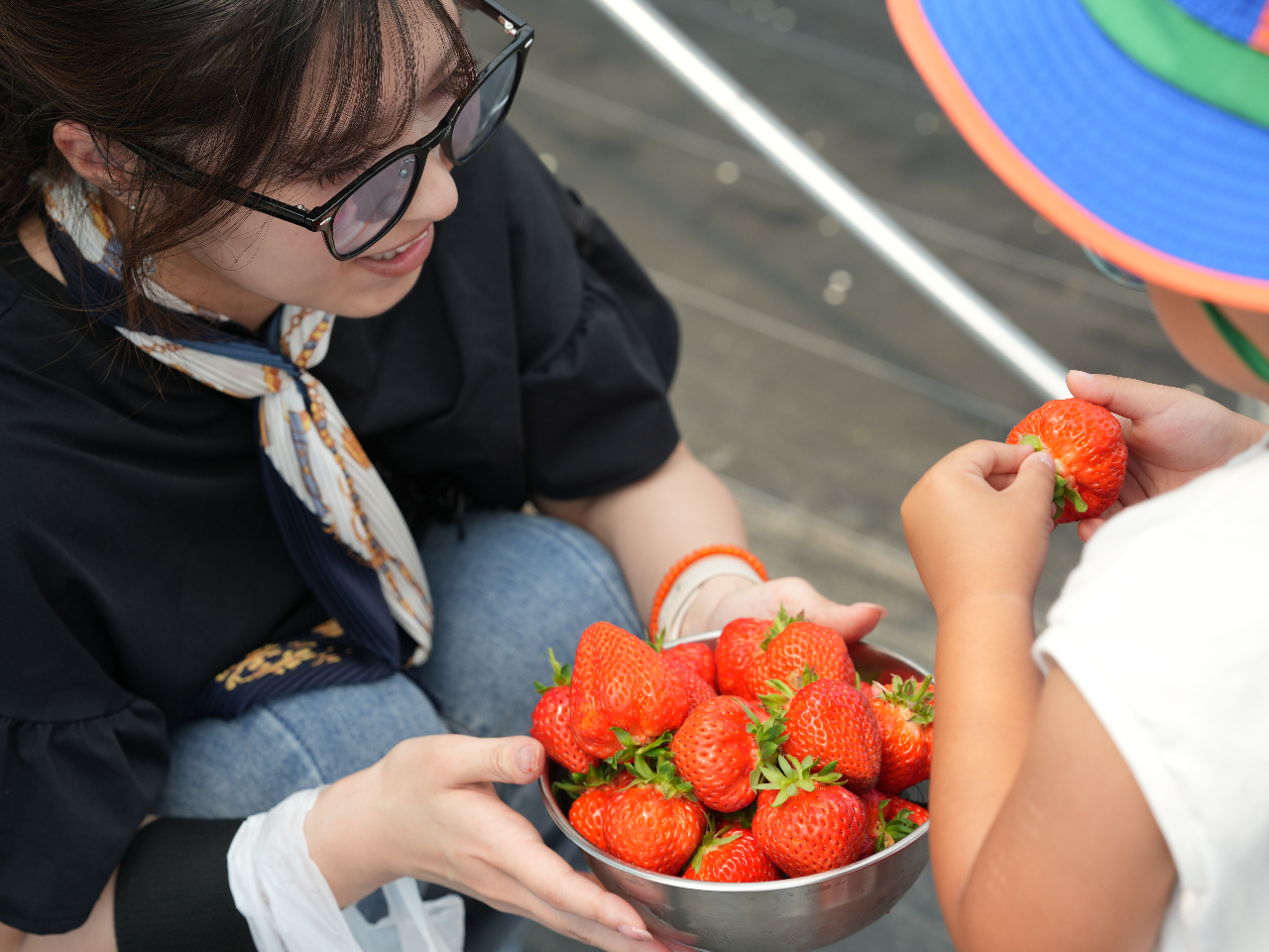 �_�����ƂĂ��傫���I�^�X�[�p�[���ɏo���Ȃ������p��ԗ�i�Ɏg���Ă��鍂�������������n�����͂������A�傫�������́I �ЂƗ��ł��H�׉�����