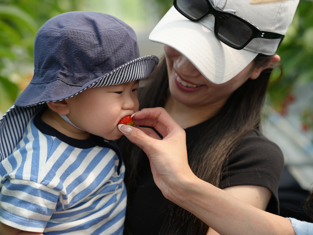 �_0�΁`3�΂͂�������薳����^6���`10����4�����Ԃ�������肪�y���߂܂��I��ʓI�ɂ�7�����ɏI�����}���܂����A�ۖk�������_���Ȃ�k�C���B���10���܂Ł�