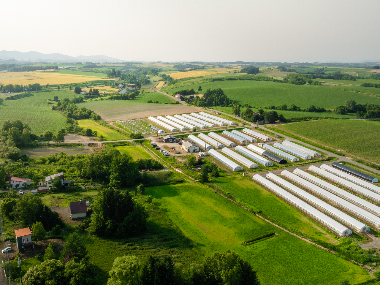 �_�u�̂܂����l�^�k�C���E���l���́A�Ȃ��炩�ȋu�˒n�ɍL����p�b�`���[�N�̂悤�ȕ��i�����͂̒��ł��I���������Ƃ��킹�Ċό�����