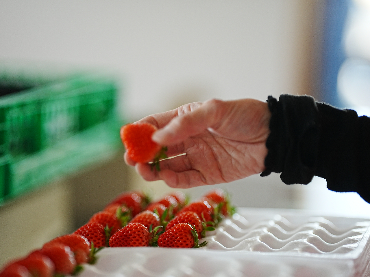 �_����������́A�̂ꂽ�Ă������̒������ցI�^�������̉c�Ƃ�8:00�`17:00�B����؂��ꍇ���������܂��B