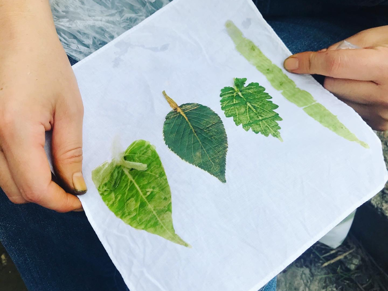 @ănJ`ɎʂĂIR̃X^v܂B