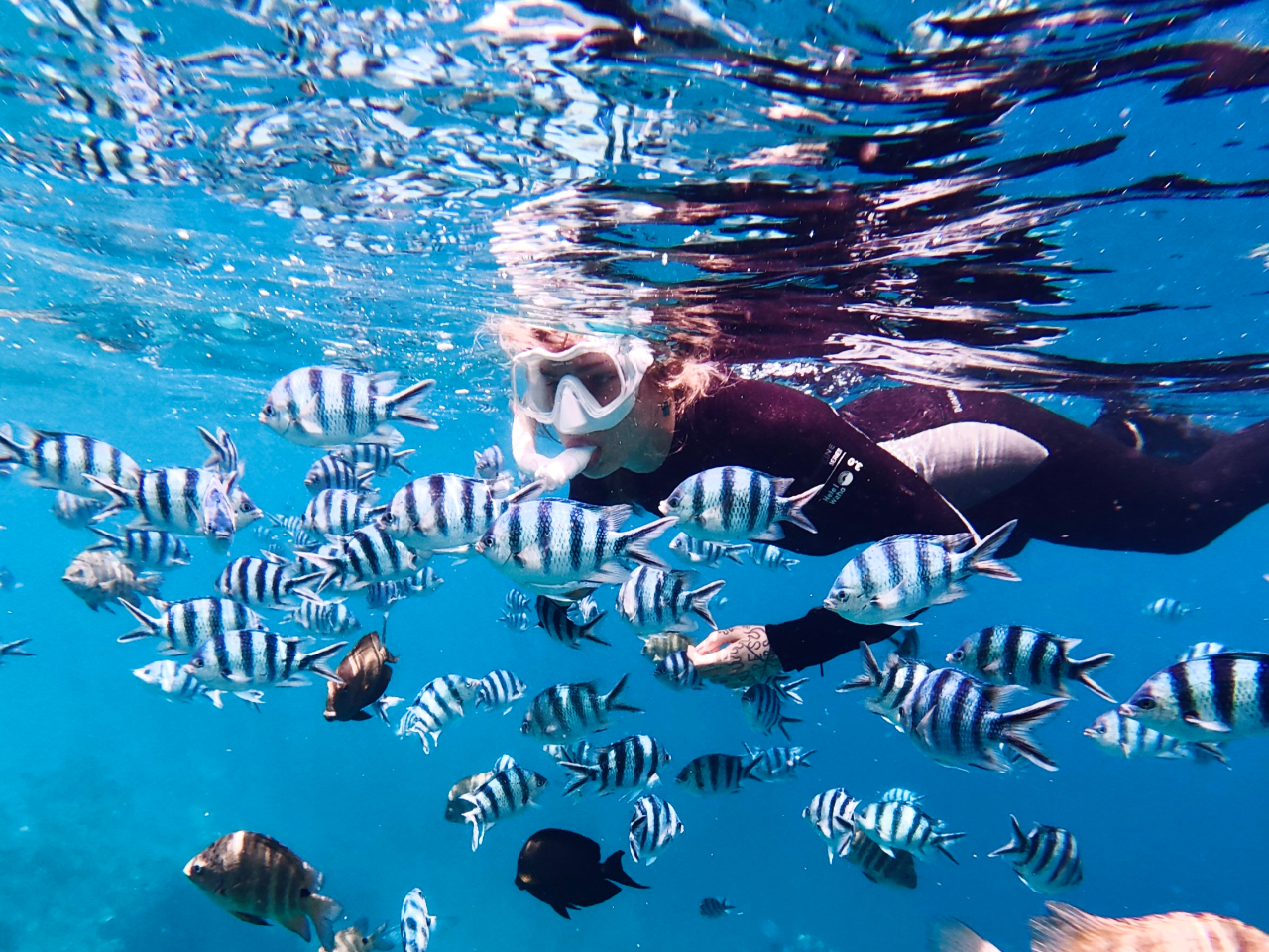 [ ̓AVm[POcA[IIIN̓WOAOPENɔG\z܂B߂̗\񂪂߁IIS. t@~[. Jbv