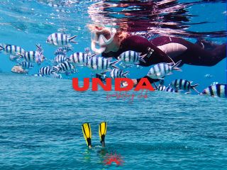 恩納村 青の洞窟シュノーケリングツアー!!!今年はジャングリアOPENに伴い混雑が予想されます。お早めの予約がおすすめ!!初心者. ファミリー. カップル