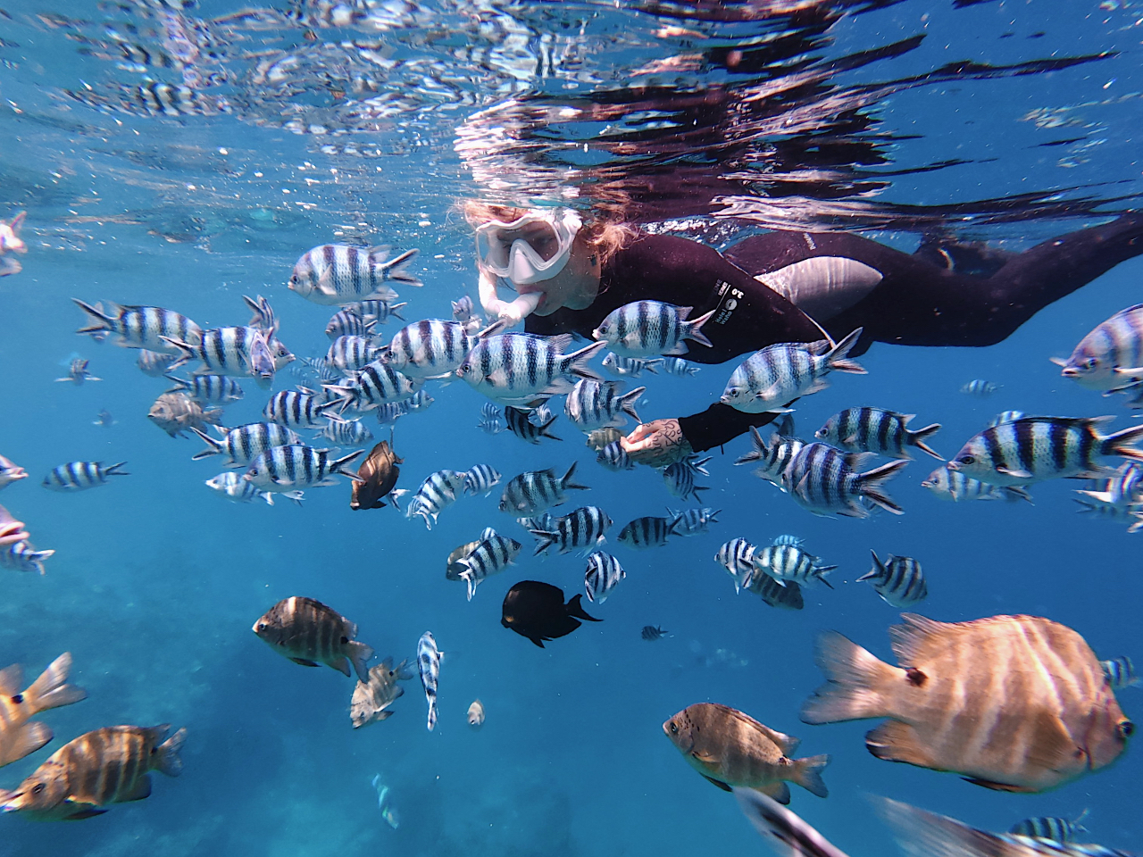 青の洞窟まで行く道のりにはお魚さん達がいっぱい!!!餌付け体験も無料!!!あまりの多さにびっくりしないでください...