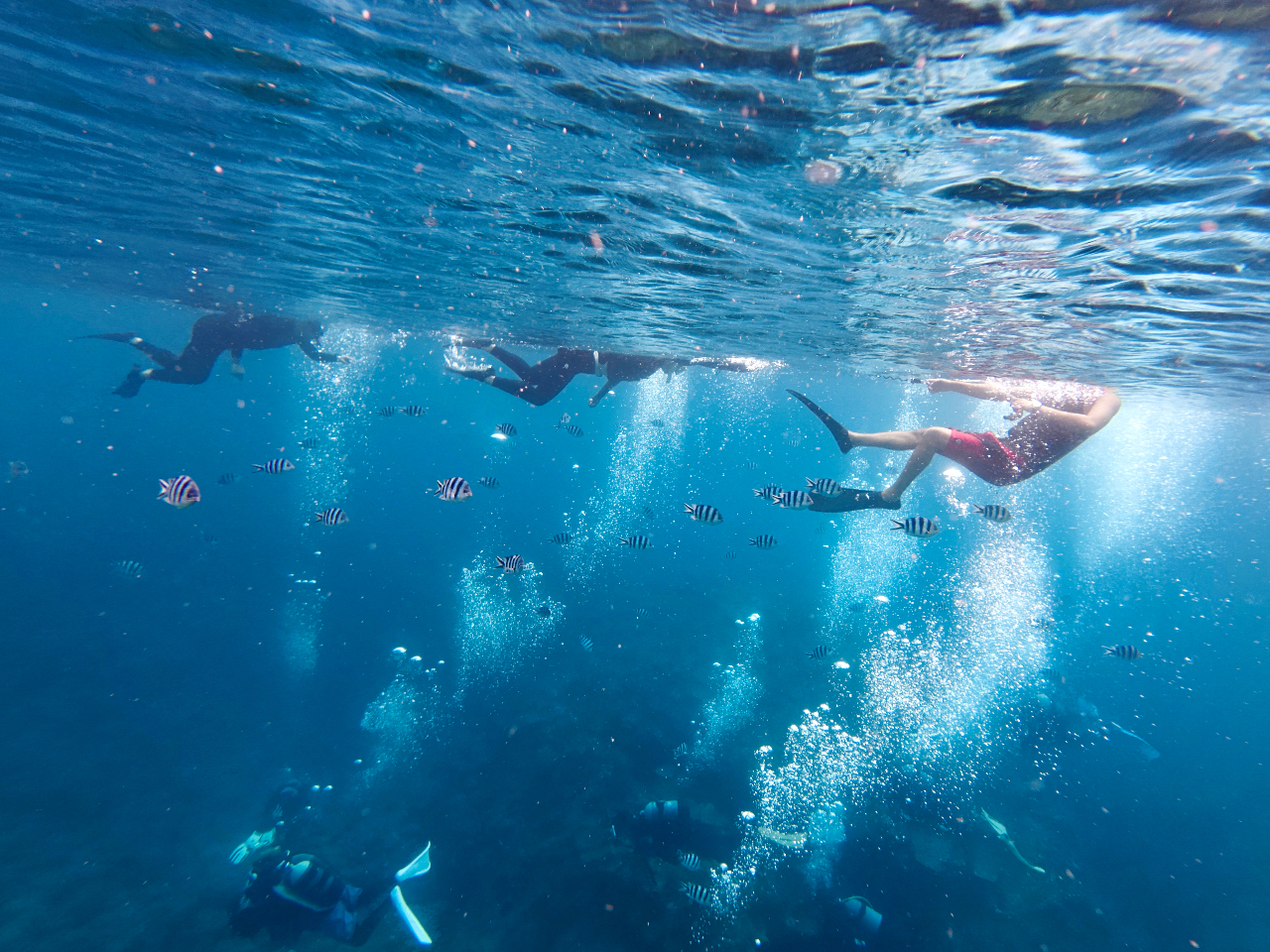 海と一体化する感覚を感じて。