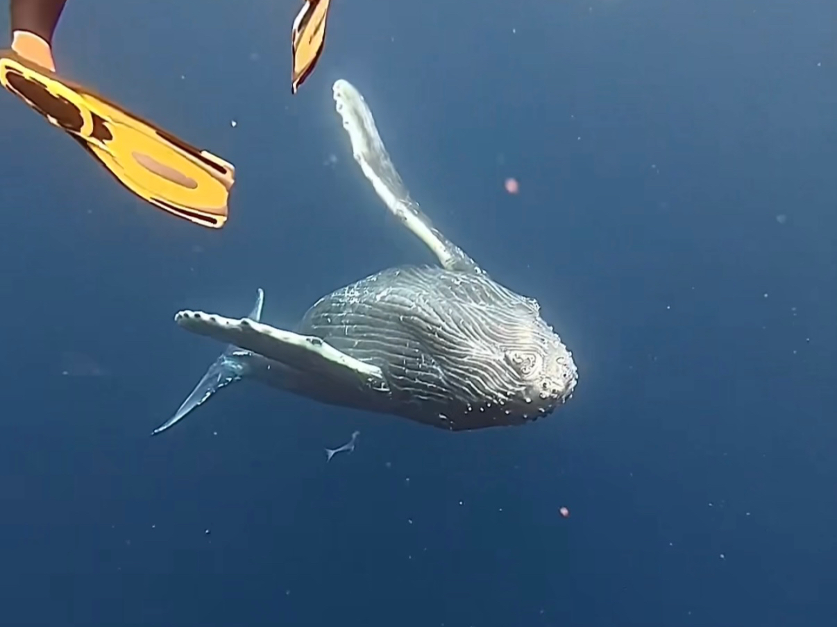 Ȋԋ߂ŃNWƉjȂāc؂ȐlƂ̂Ȃvô`Ē܂B[zG[XCcA[@