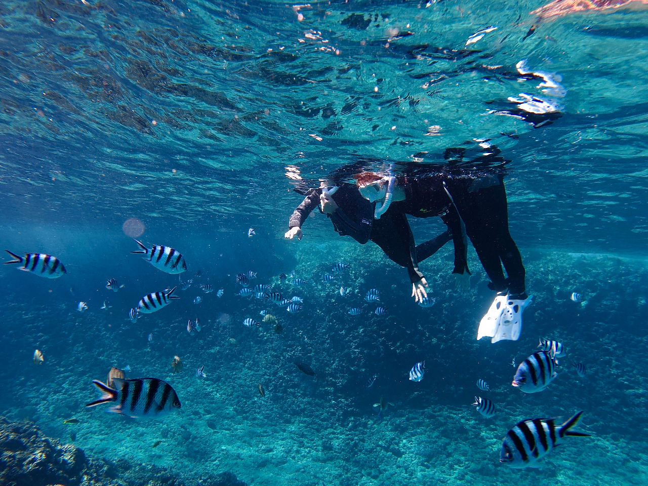 �����̉a�t���̌��ł͑O�������Ȃ����炢�J���t���ȔM�ы����W�܂��Ă��܂���?�I�I�I���q�l�ɂ���l�ɂ���l�C�I�I�I���[���̓��A�Ȃ�UNDA�ɂ��C���I����