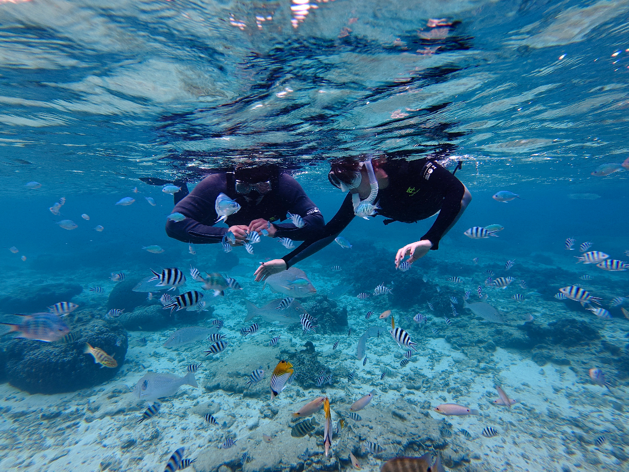 ���[�� �̓��A�V���m�[�P�����O�c�A�[�I�I�I���N�̓W�����O���AOPEN�ɔ������G���\�z����܂��B�����߂̗\�񂪂������߁I�I���S��. �t�@�~���[. �J�b�v��