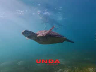 当店は完全プライベート制!!12歳から参加ok!!他のグループを気にせずお子様連れでもご自分のペースで恩納村(ウミガメ探索)ツアーに参加で