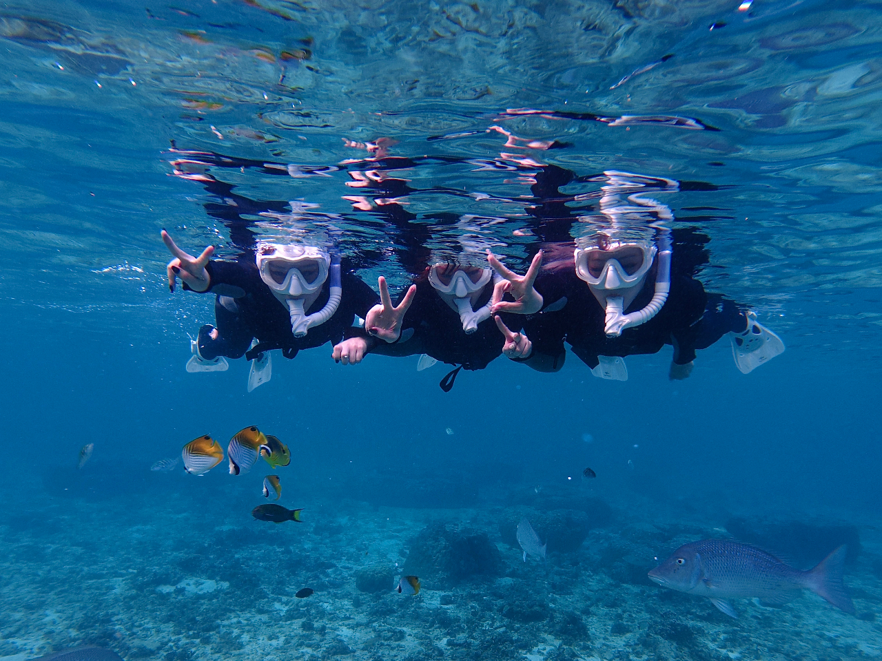 ���v�w��J�b�v���ɂ���l�C�I����l�ƃK�C�h�����̓��ʂȐ̓��A�𖞋i�I�C�ɓ���O�ɂ̓K�C�h���}�X�N�̎g������C�ł̊y���ݕ��A���ӓ_���������̂ň��S�I