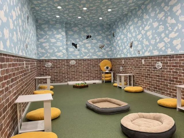 中のスペースは、このような空間になっています♪