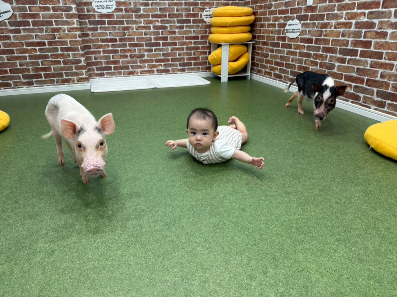 ���������q�l�����y���݂��������܂���