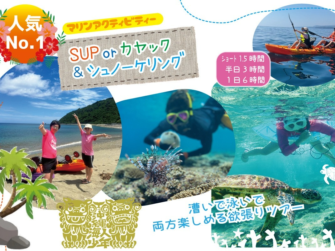 本島北部【美ら海水族館】【ジャングリア沖縄】【古宇利島】もすぐ近くです!