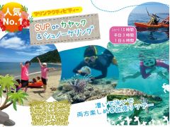 本島北部【美ら海水族館】【ジャングリア沖縄】【古宇利島】もすぐ近くです!