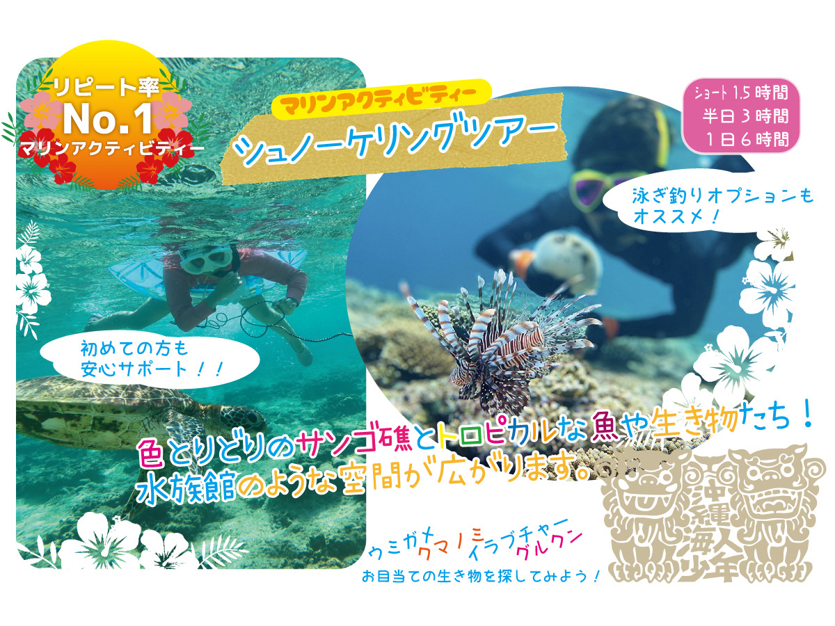 本島北部【美ら海水族館】【ジャングリア沖縄】【古宇利島】もすぐ近くです!