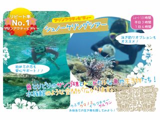 本島北部【美ら海水族館】【ジャングリア沖縄】【古宇利島】もすぐ近くです!