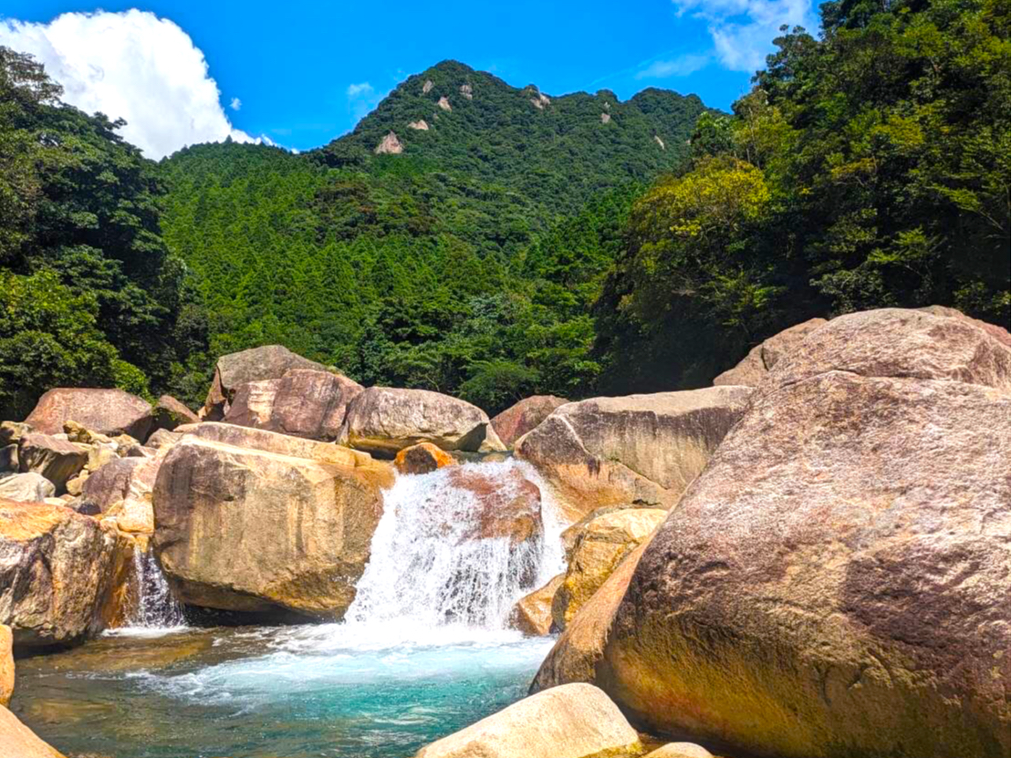 s̉kJő̌łLjIjÓA炩ȐƗΖLȎR̒ŁASgƂɃtbVł閣͓IȃANeBreBłB