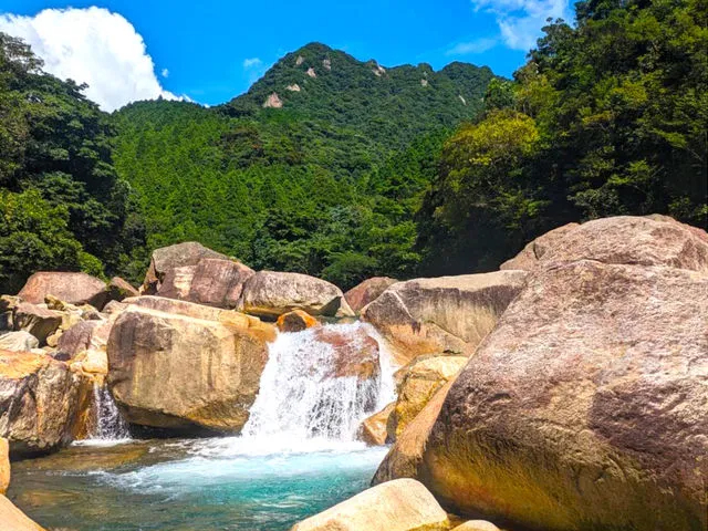 高隅山系の清流で素晴らしい体験をお楽しみ下さい。