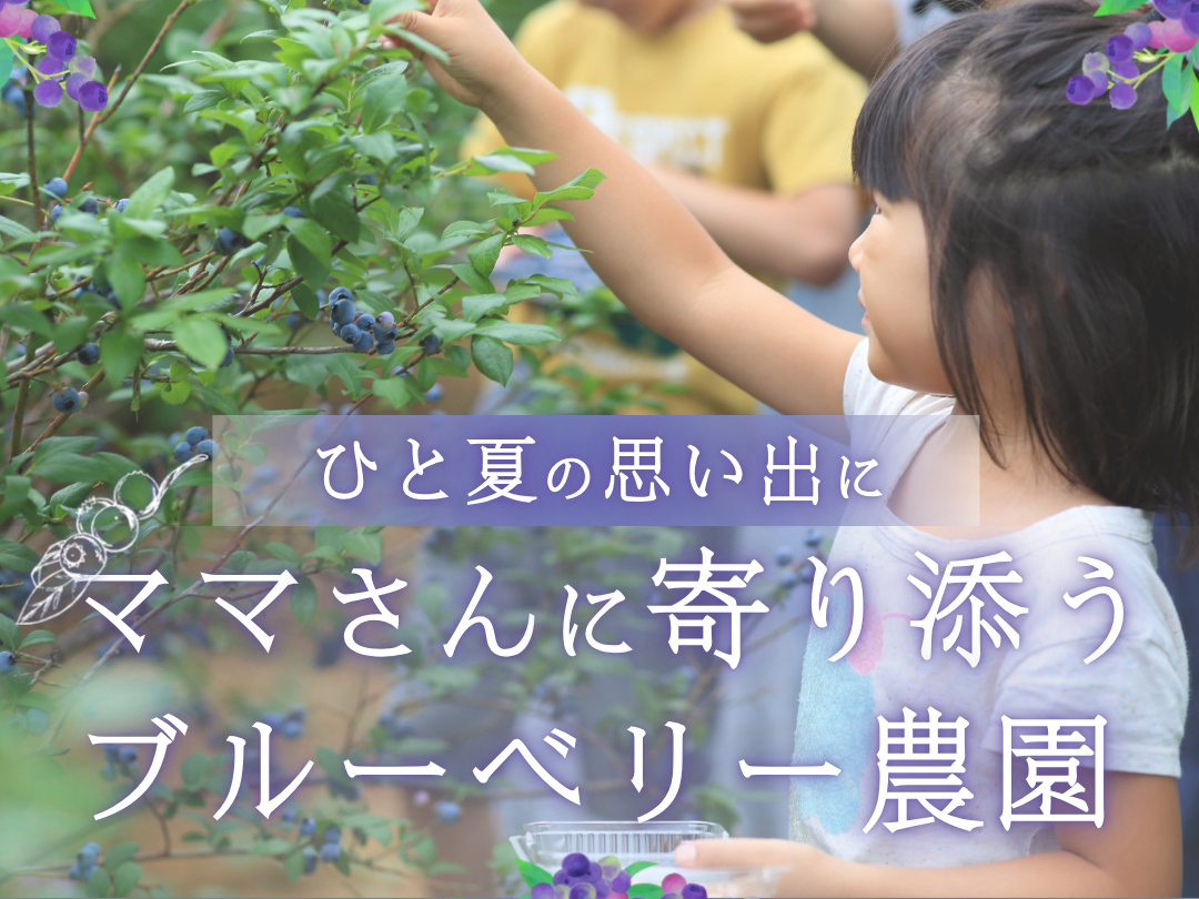 ＼＼2025年6月NewOpen／／【ブルーベリー食べ放題＊約40品種栽培！】多...