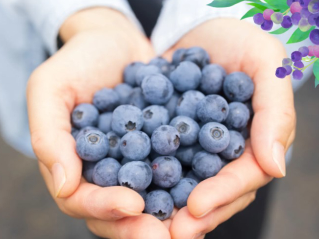 2025年6月NewOpen／／【ブルーベリー食べ放題＊約40品種栽培！】多品種