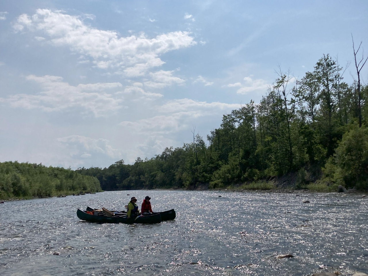 たまに野生動物なんかにも遭遇します・・・THE北海道を生で感じれます!