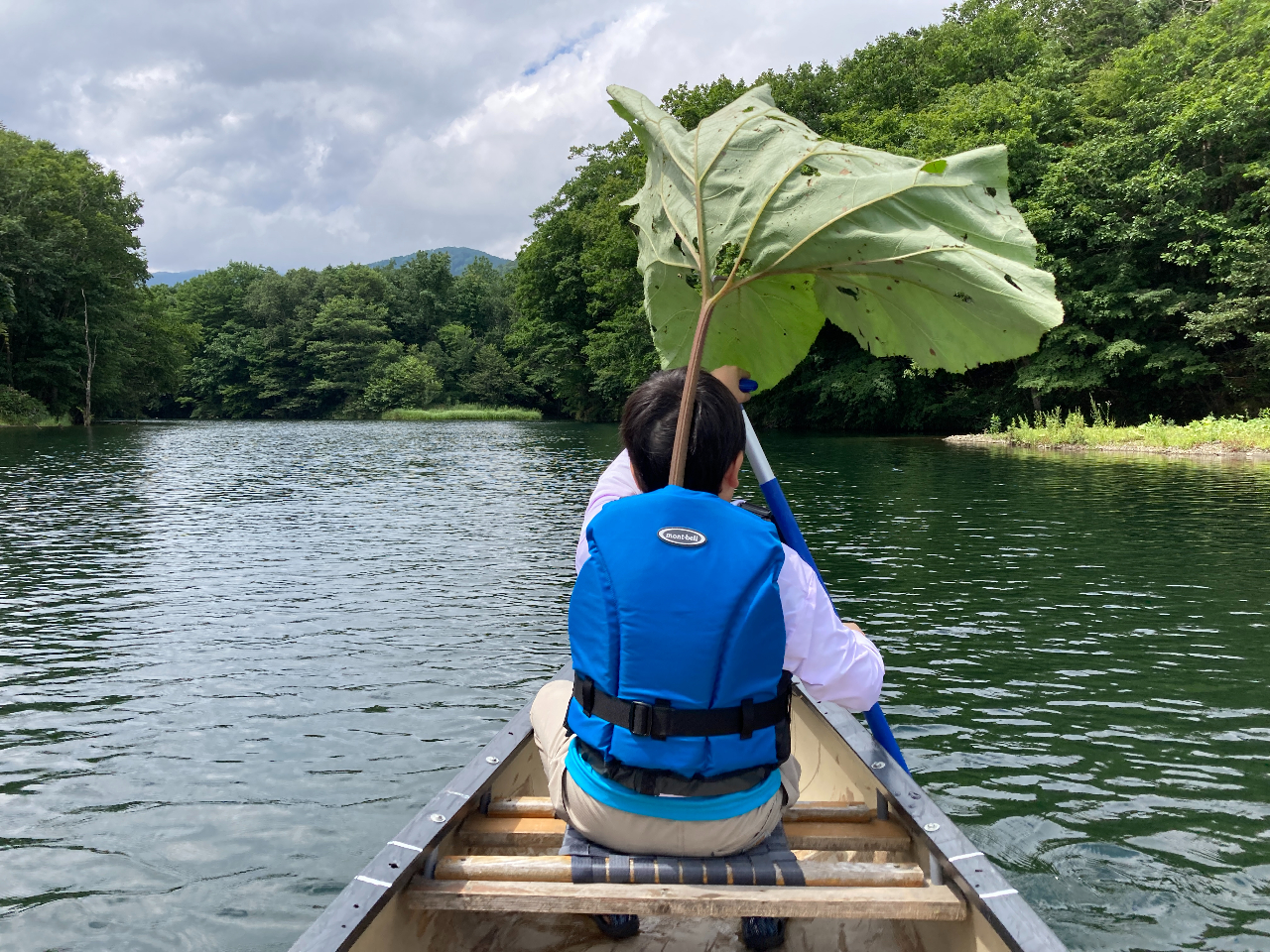 Ȃǂ͓VR̓PςƂłI@LbYтłII