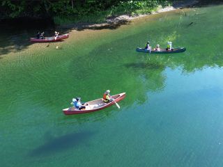 空中に浮いてるような浮遊感のある透明度のある水辺でお魚たちと水上散歩を楽しんでください♪ 十勝の地元の人も知らないニッチなスポット「トカニで癒されてくださいね!