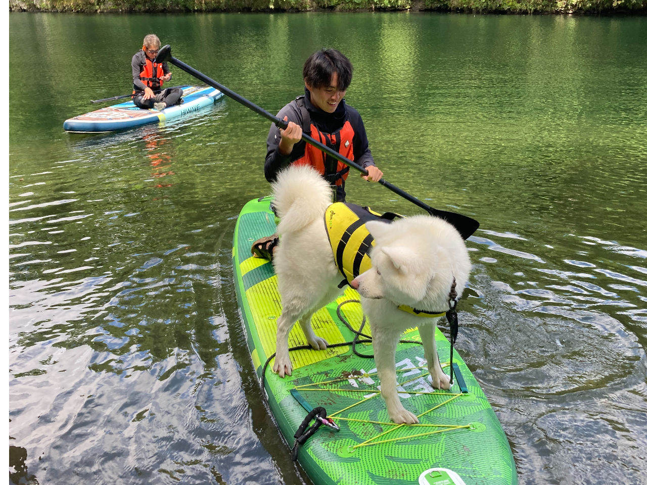 DOG SUPłB@؂ȉƑIꏏɗVтˁ[