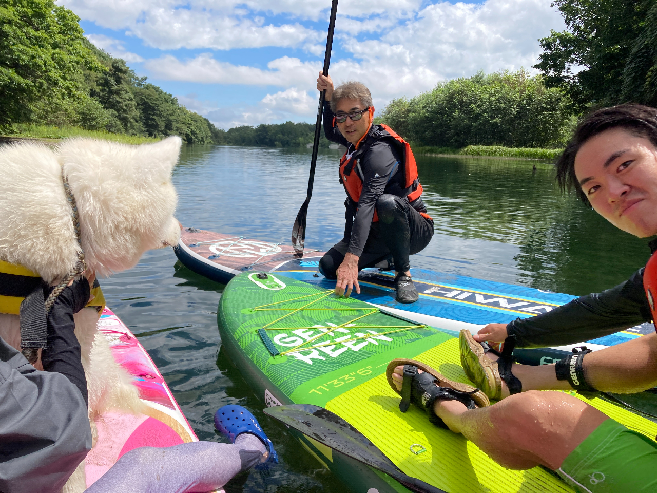 񂱂͂ǂ炩Ƃƃ{[h萅VтɋÁXI