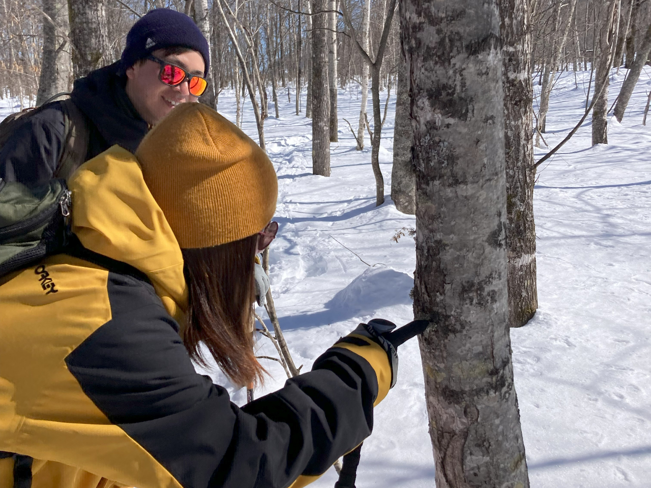 X̒ł͂낢ȓ~łȂ̂̂Ŋώ@ȂnCN̂yłˁB