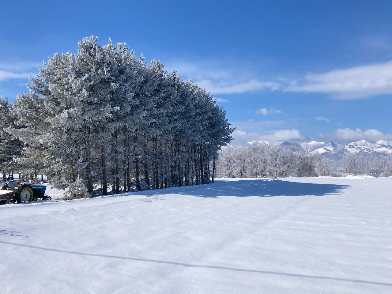 ɍs܂ł͓̓~̖kC炵i܂I^ǂ΂ȕiɂo܂I