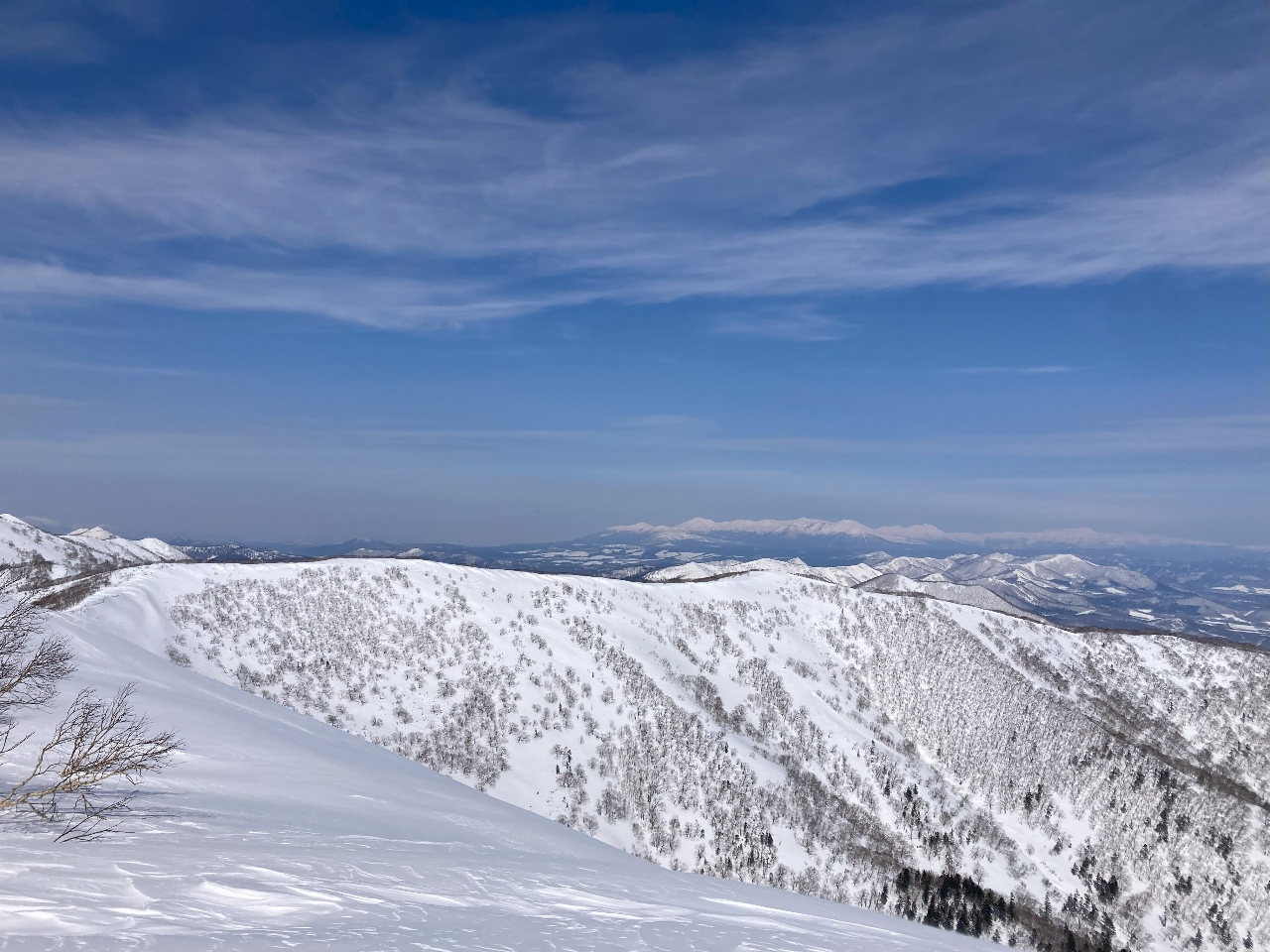 Ă΁EE΁jQ̃P[Vq߂܂II