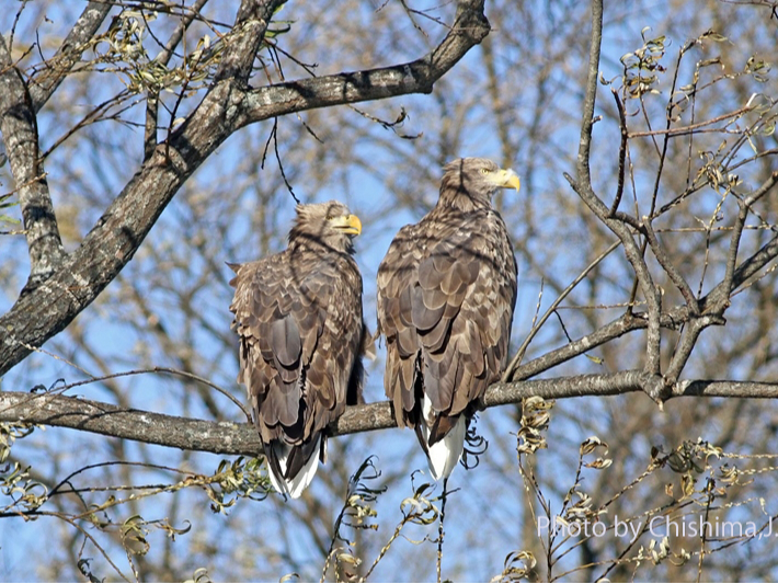 ɓIIVIWVȂǂ򗈂Ă܂o烉bL[łˁI