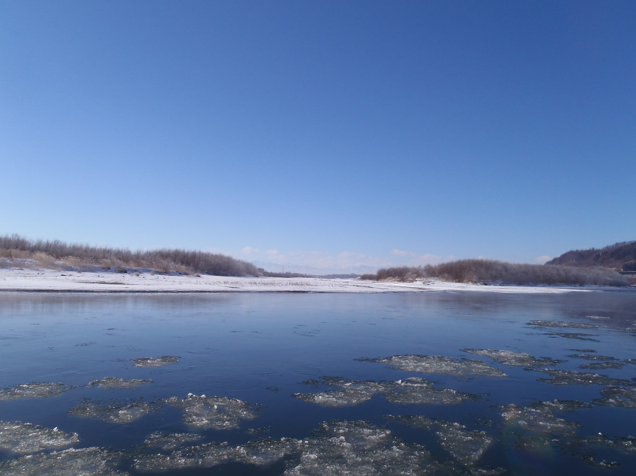 thegJ`~̐엷I̕Xm̊C݂ŁuWG[ACXvɂȂ̂łI