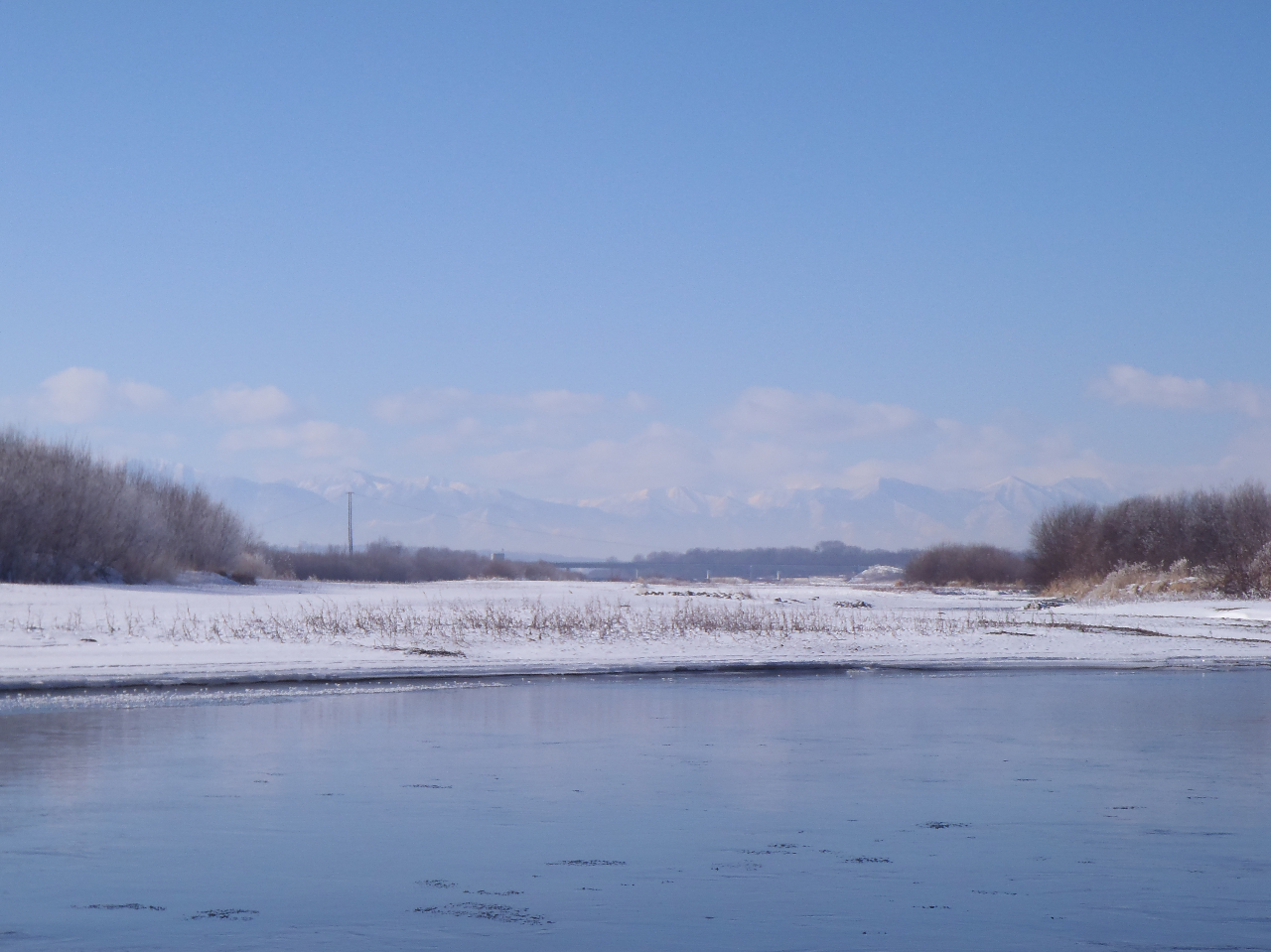 ɂ͓Rݏ֏\߂邱Ƃł܂II