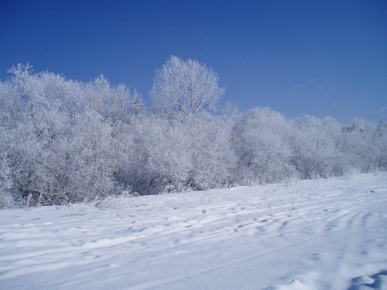 ΂ꂪ͉͔ȗтɁuXv炫܂B