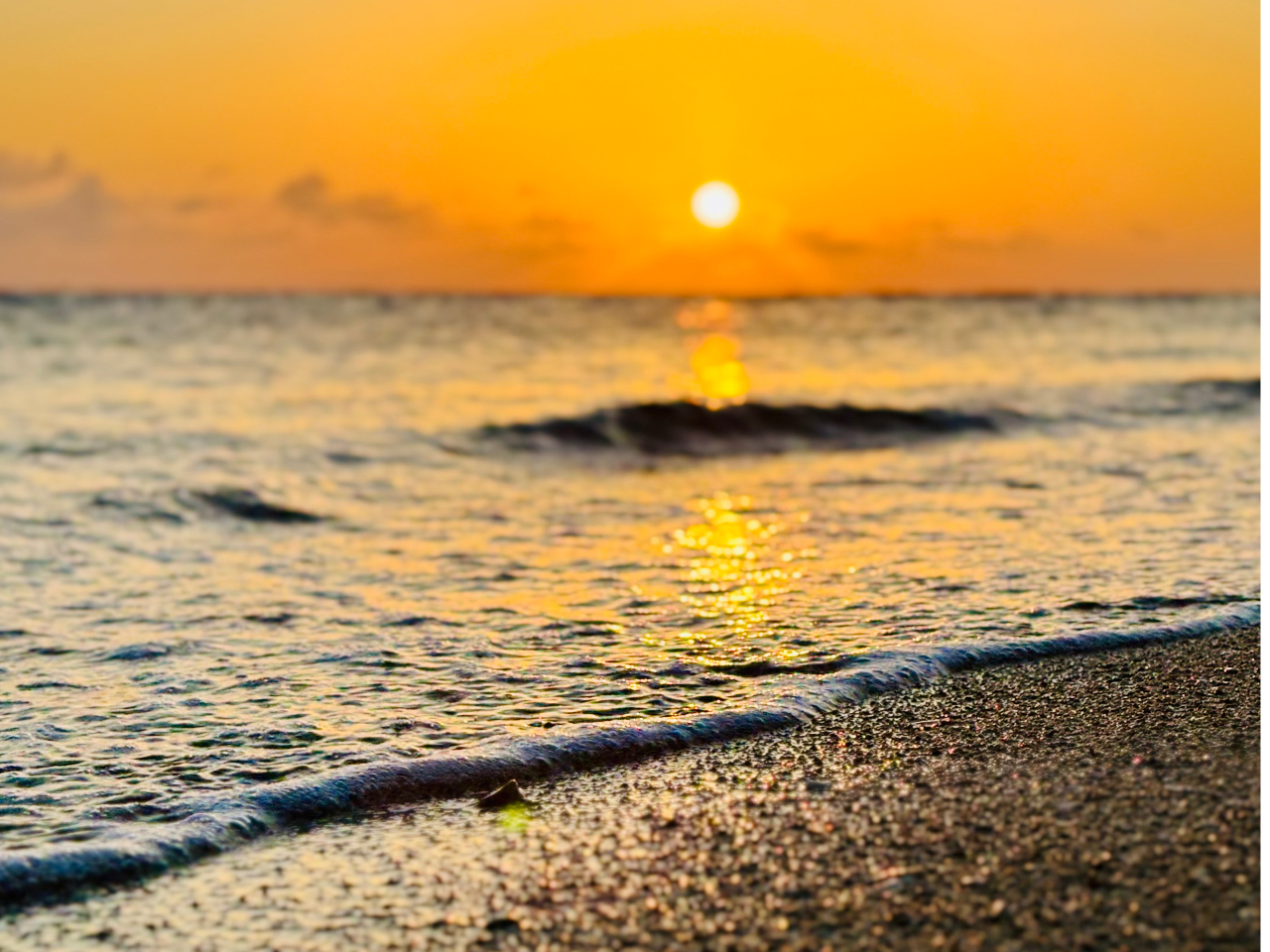 fGȎʐ^f[^݁I Come with beautiful photo data!